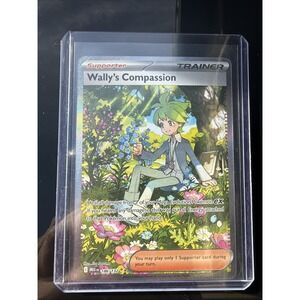 Wally's Compassion 186/132 Special Illustration Rare Mega Evolution Pokemon NM
